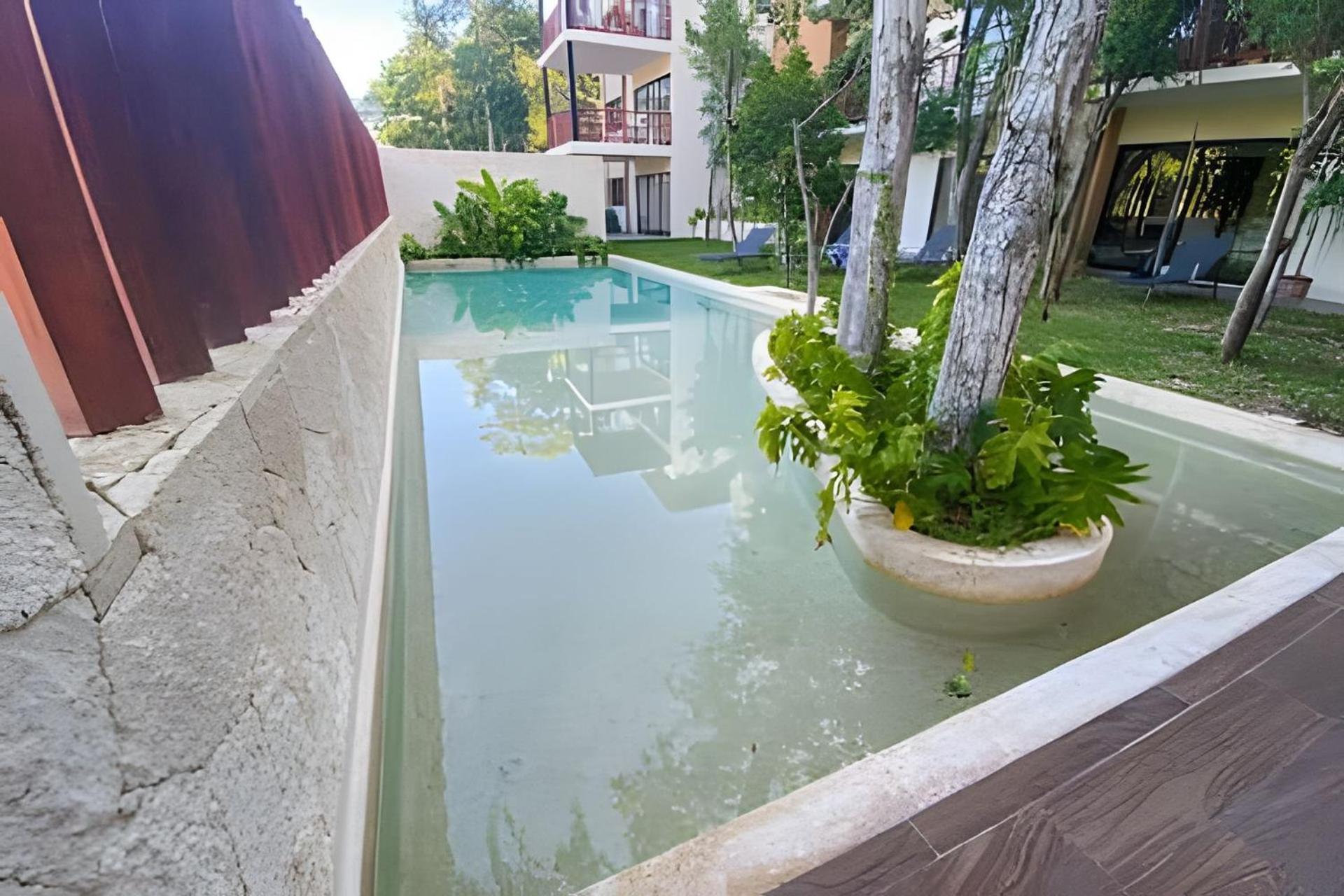 Loft increíble king size Alberca infinita,Gym en medio de la selva Tulum Exterior foto