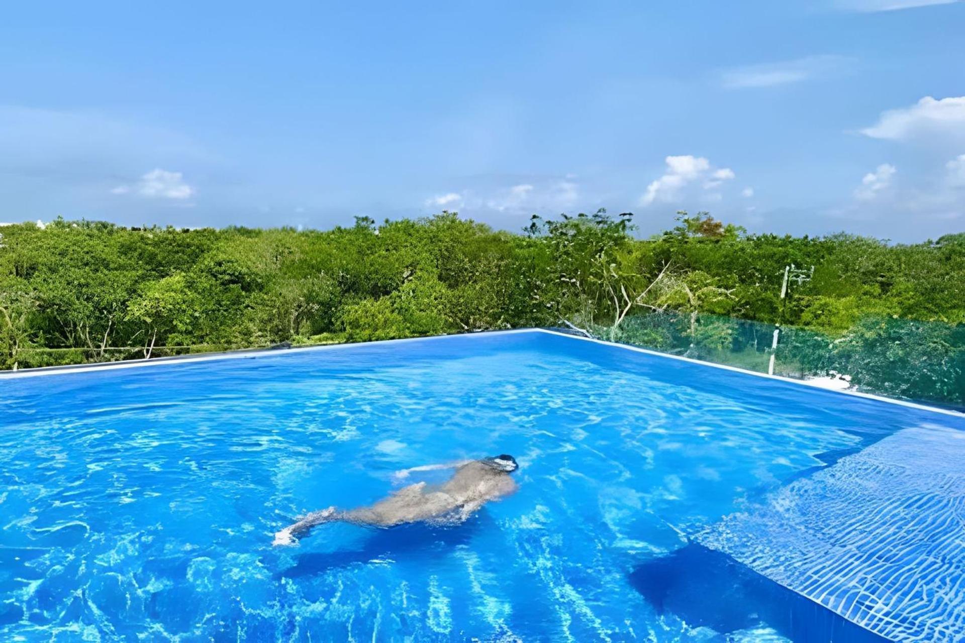 Loft increíble king size Alberca infinita,Gym en medio de la selva Tulum Exterior foto