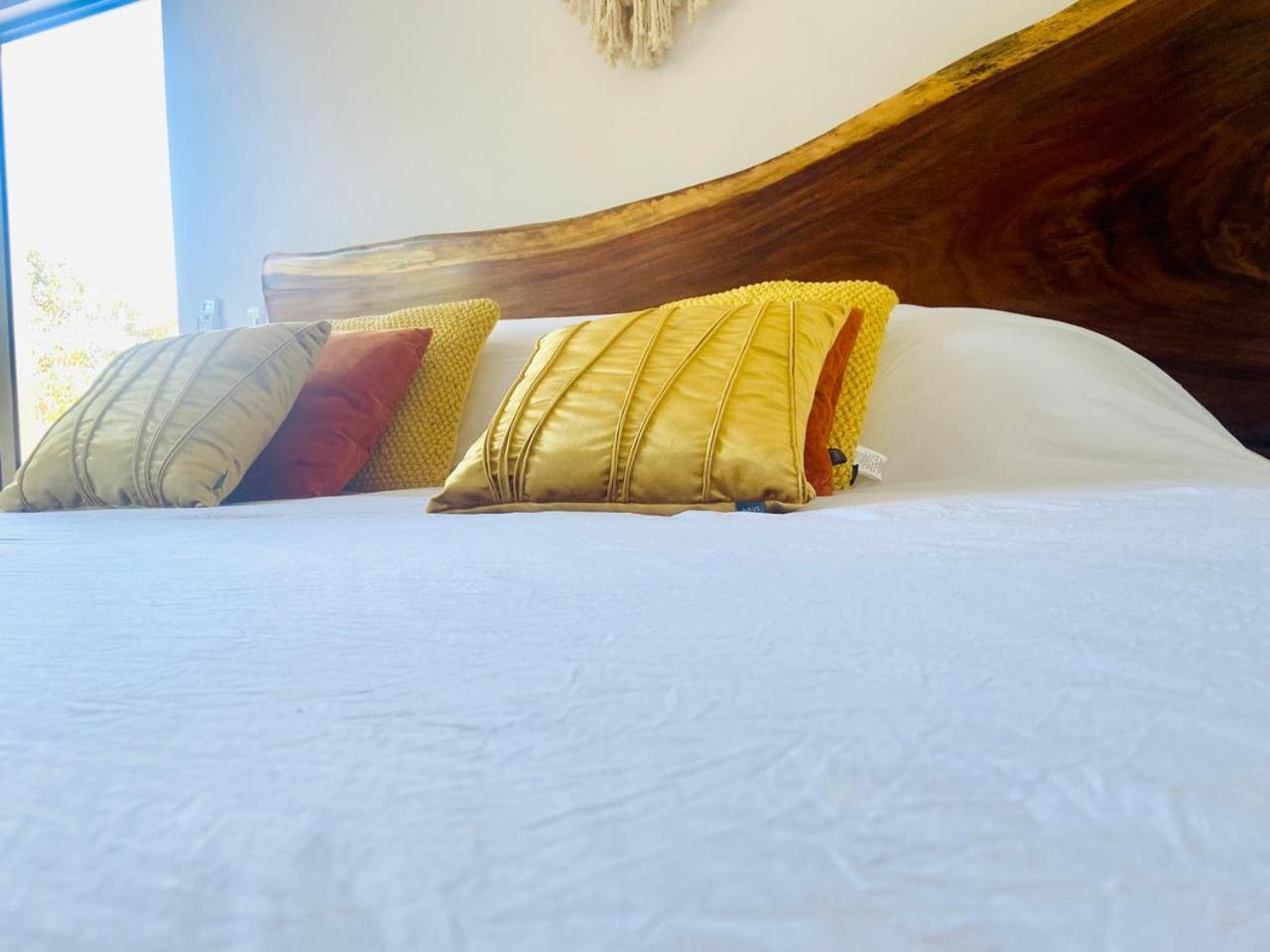 Loft increíble king size Alberca infinita,Gym en medio de la selva Tulum Exterior foto